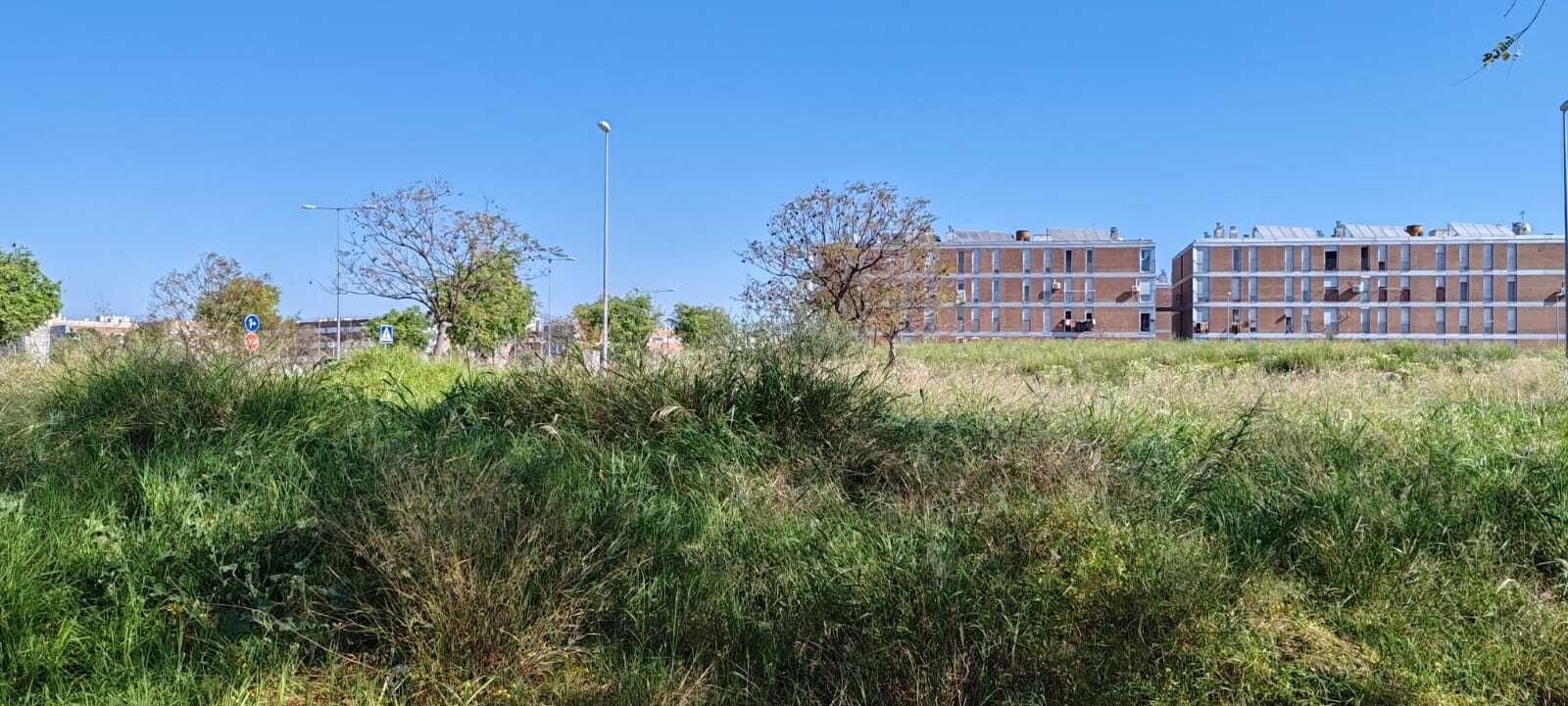 La zona sur de Jerez: ¿un campo de basura y malas hierbas?