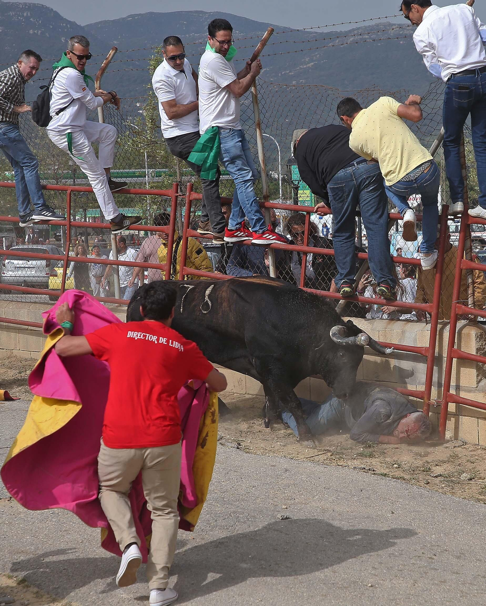 Fotos del Toro Embolao en Los Barrios