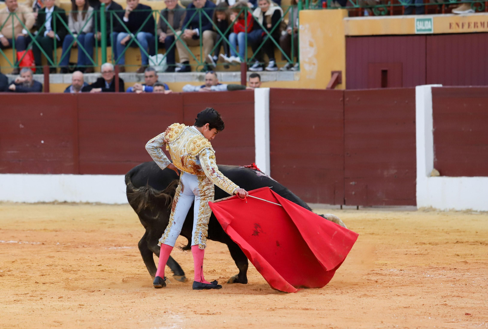 Imágenes de la novillada previa a la Semana Santa en la plaza de toros de La Línea