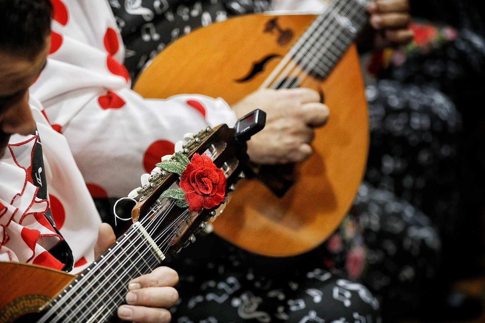 Las mejores imágenes de la decimocuarta sesión de preliminares del COAC 2024