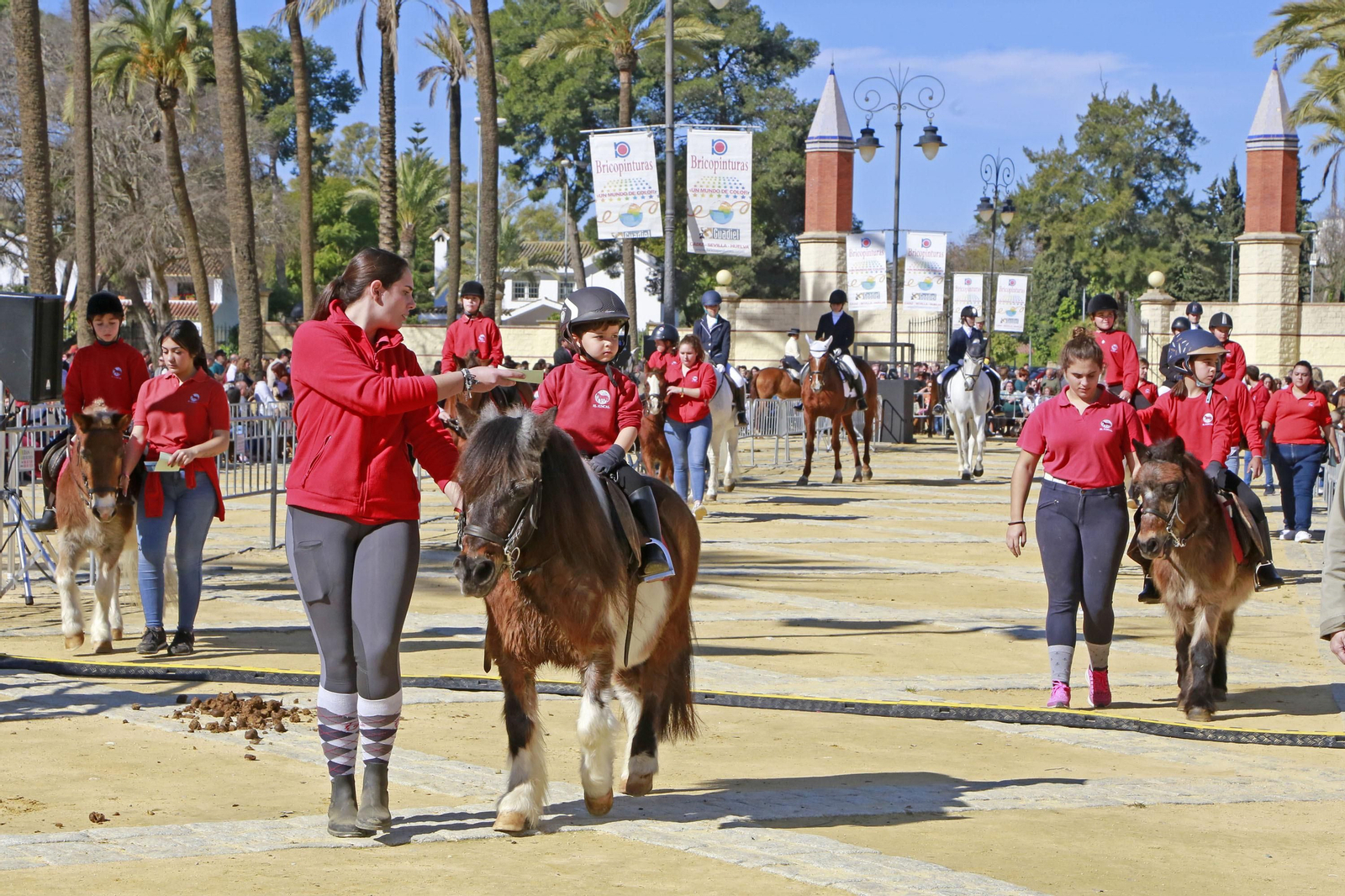 Imágenes de San Antón 2020 en Jerez