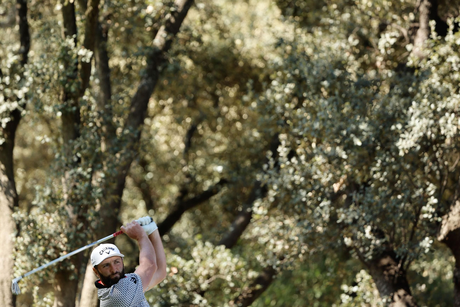 El malagueño Ángel Ayora, la gran baza malagueña en el Open de España