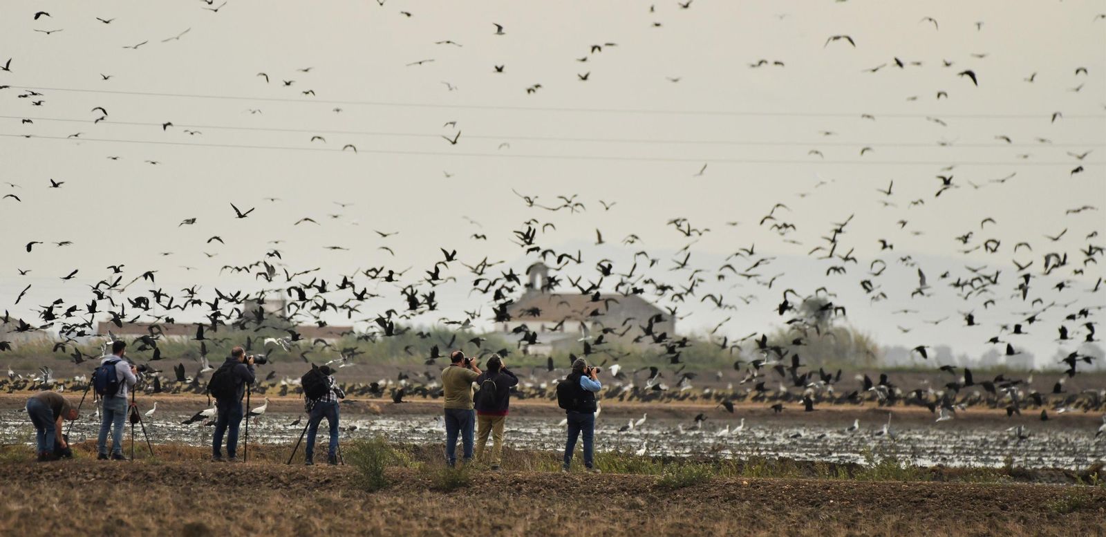 Una edición anterior de Andalucía Photo Natura