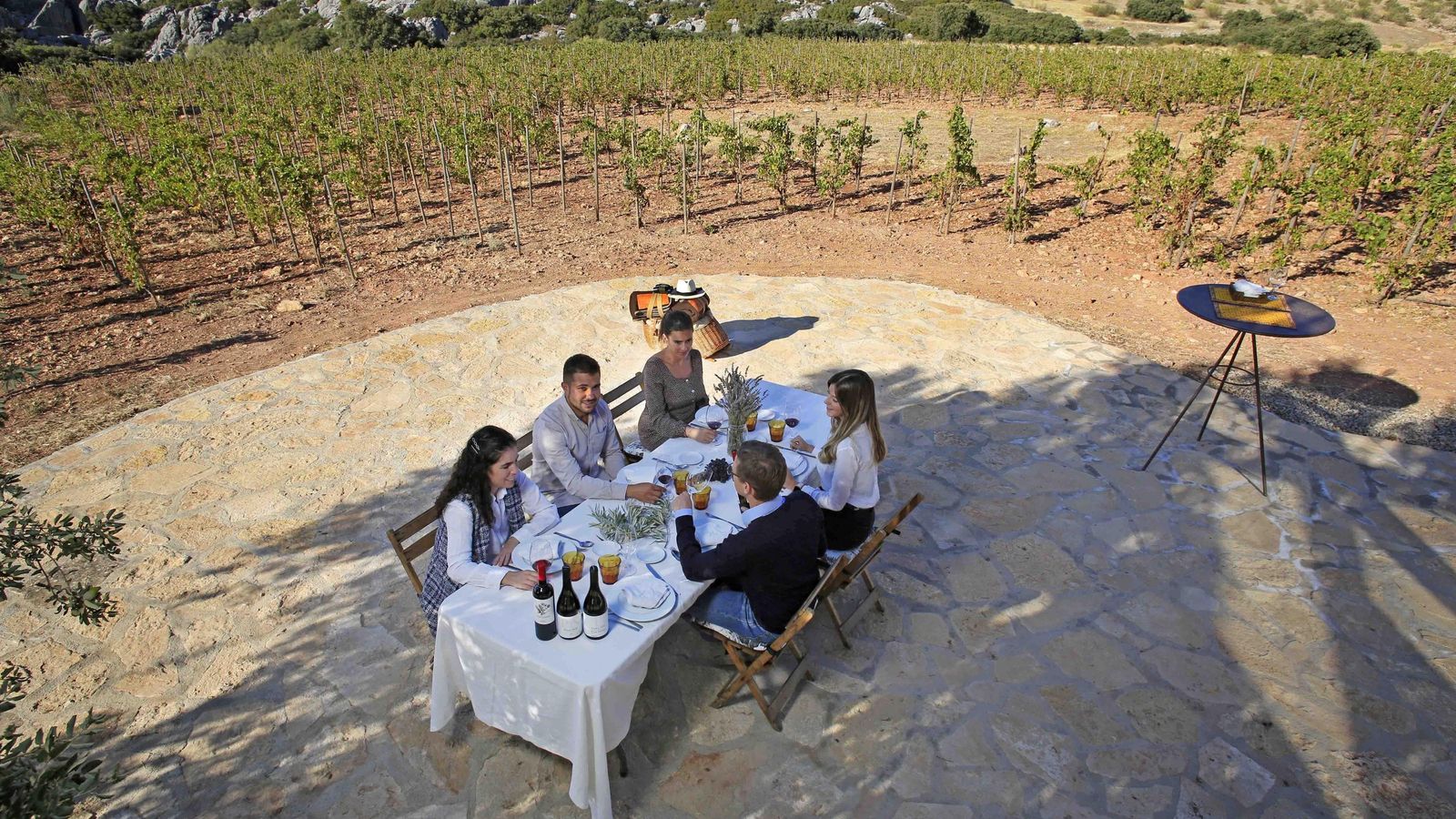 Comida en mitad del viñedo de la bodega Los Aguilares. Comida en mitad del viñedo de la bodega Los Aguilares.