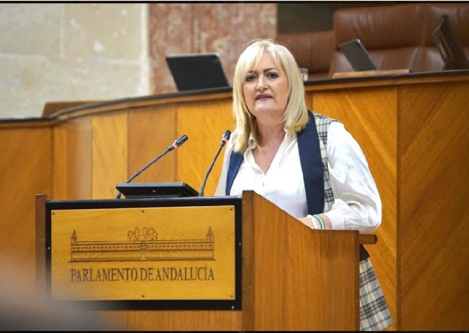 La parlamentaria del PP, Celia Santiago