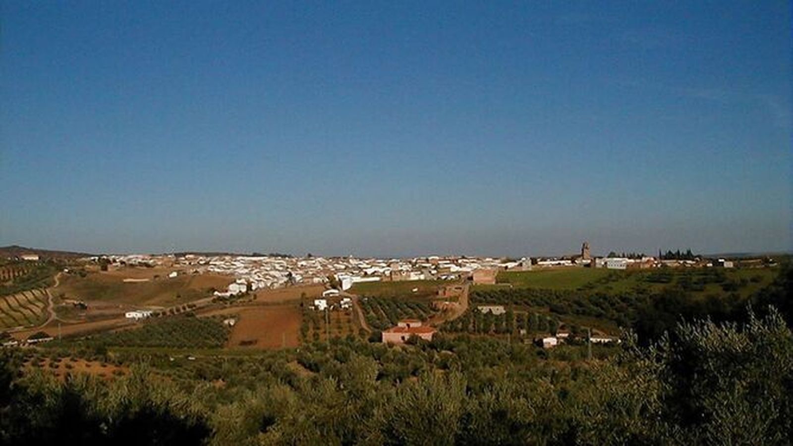 Vista panorámica de Adamuz.