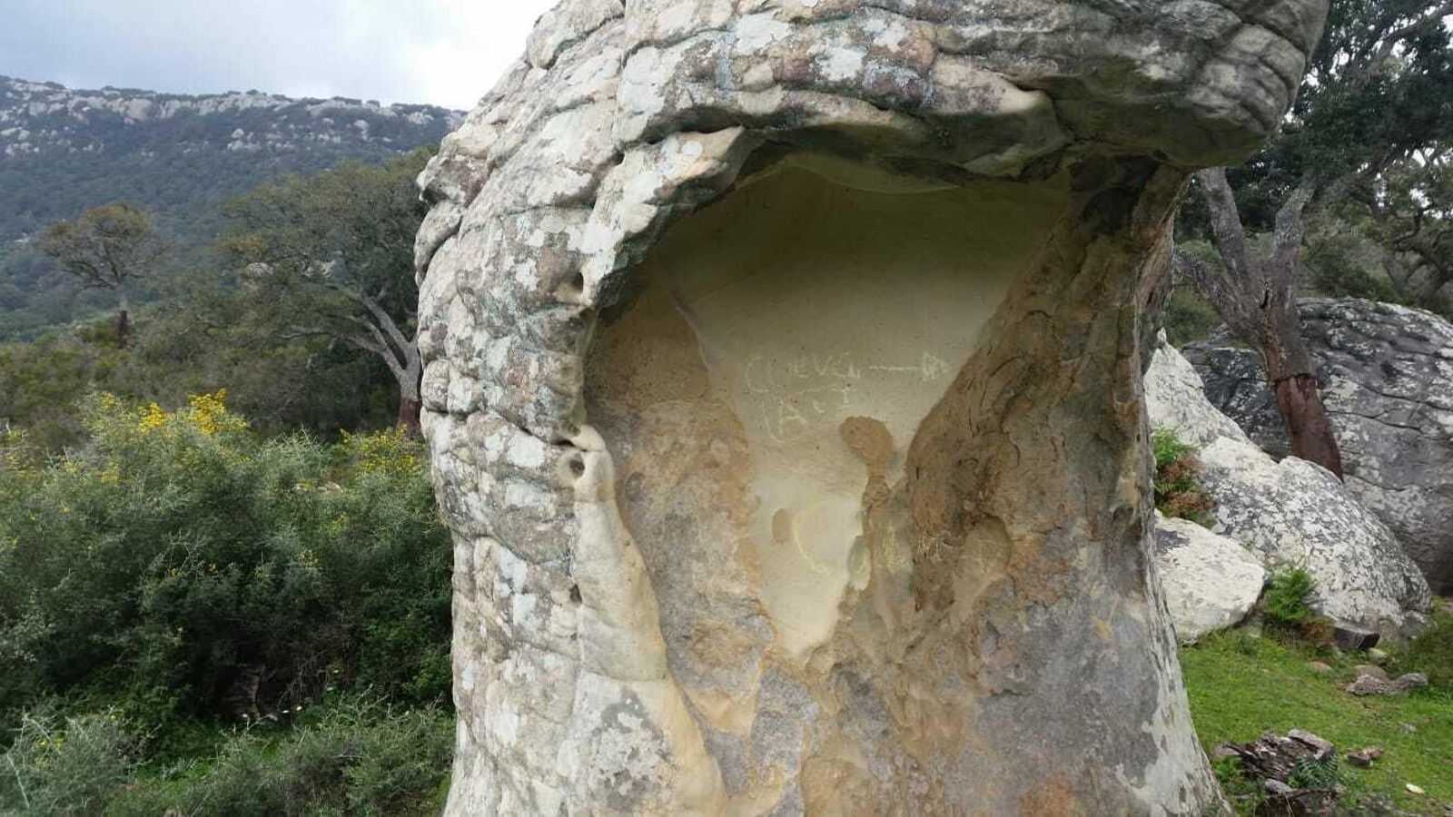 Los daños por vandalismo en Bacinete, en imágenes