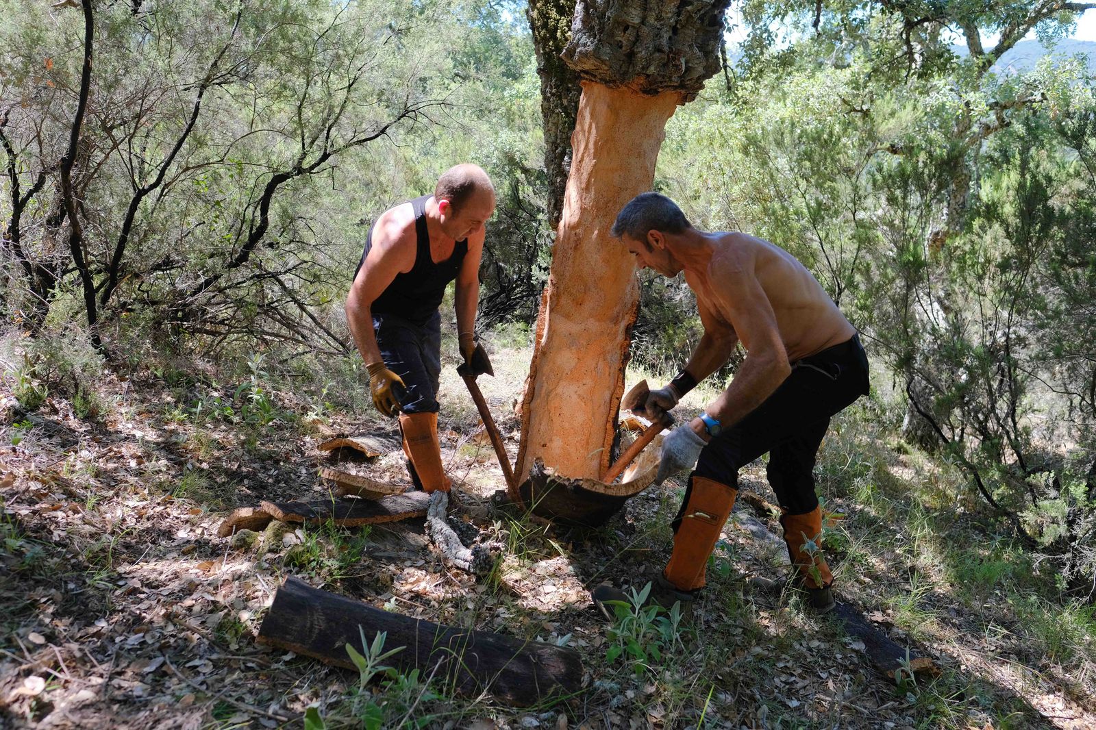 El calor hace todavía más duro el trabajo