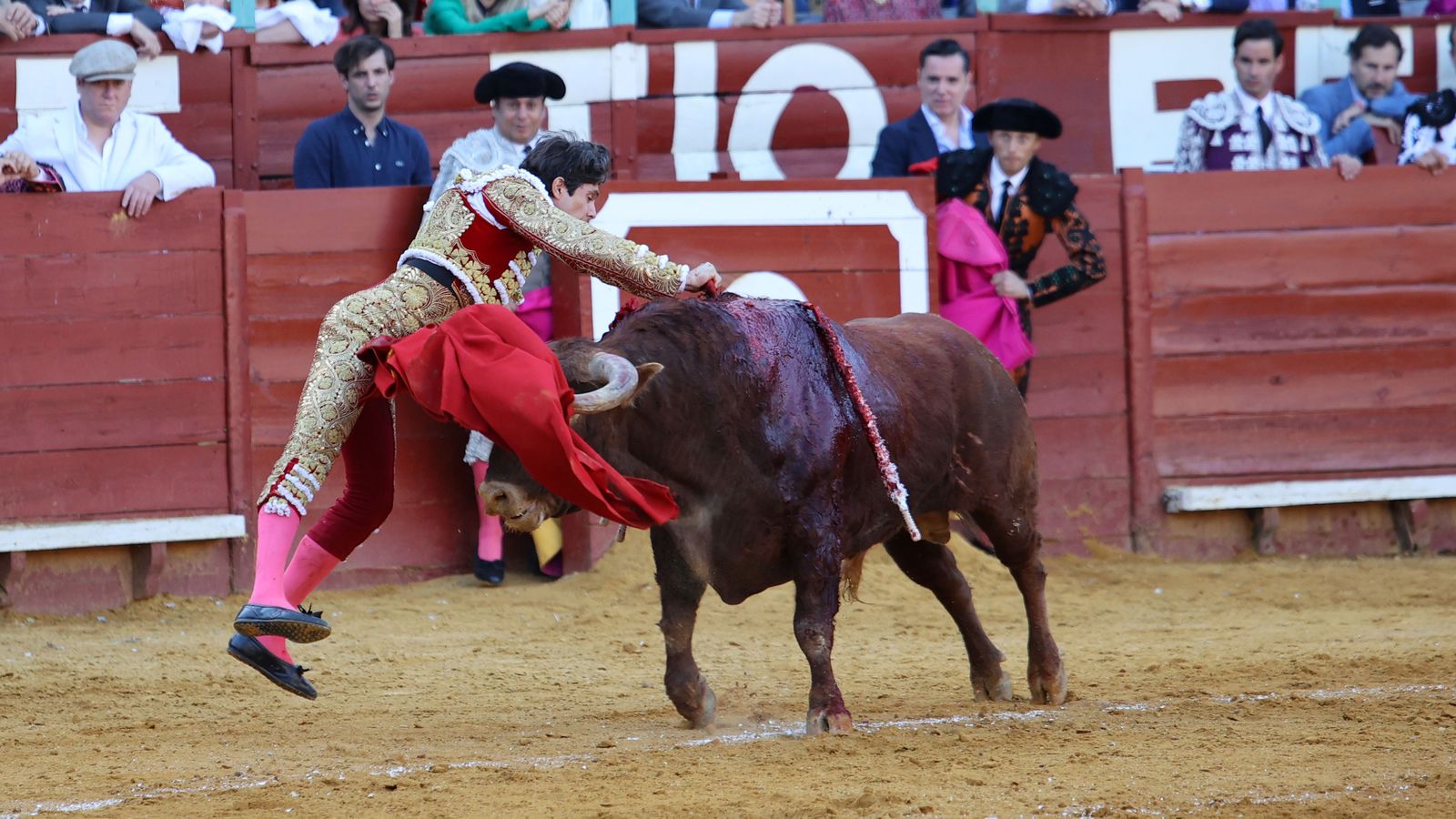 Última tarde de toros de la Feria de Jerez 2024 con Morante, Manzanares y Castella