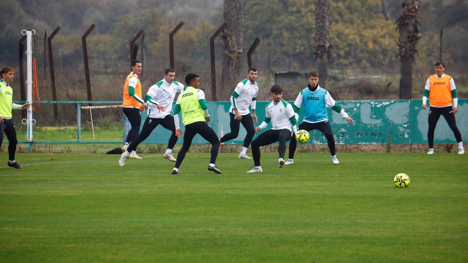 Los jugadores del Córdoba se ejercitan en la Ciudad Deportiva.