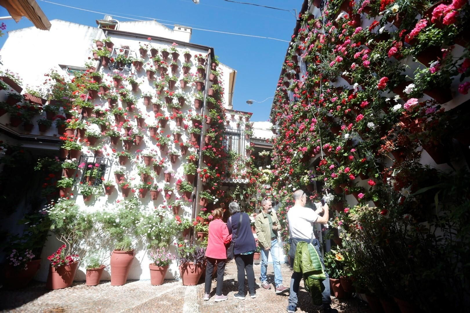 Las mejores imágenes del primer día de Patios en Córdoba