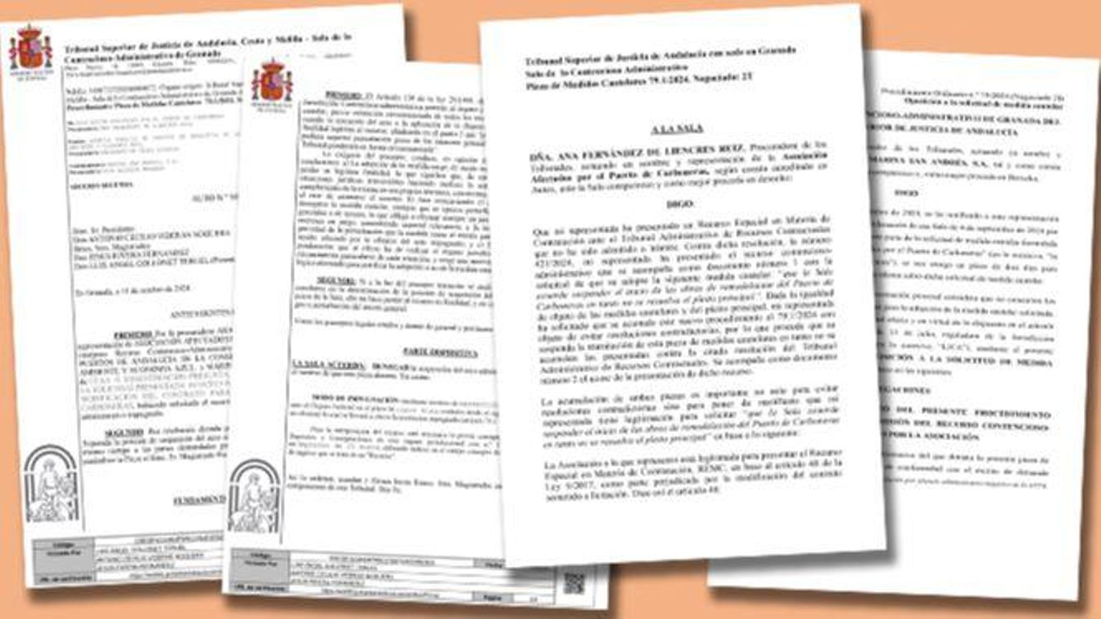 Diario de Almería ha tenido acceso a la sentencia del TSJA y a las alegaciones de las partes