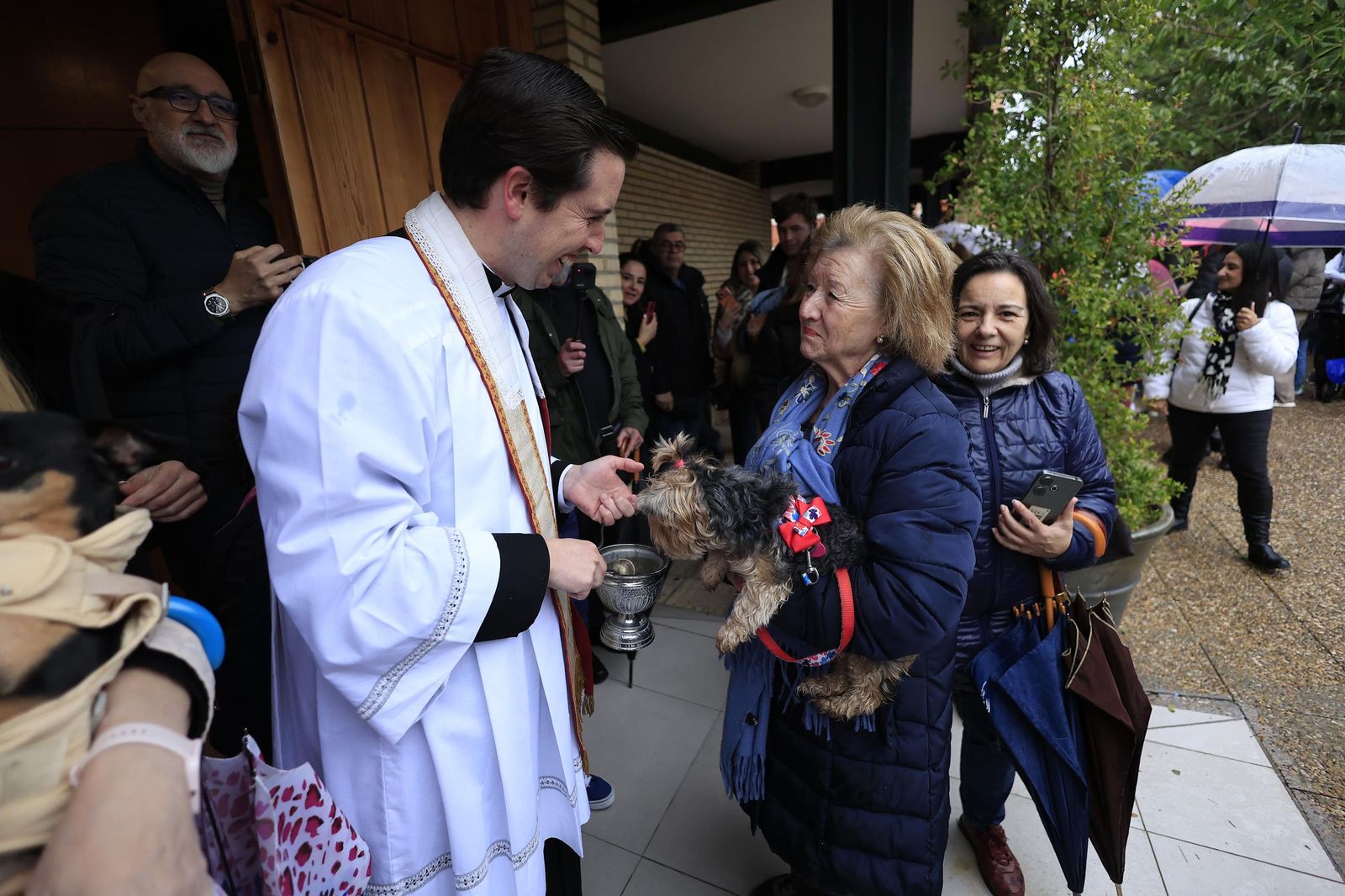 Las fotografías de la bendición de las mascotas por San Antón 2026