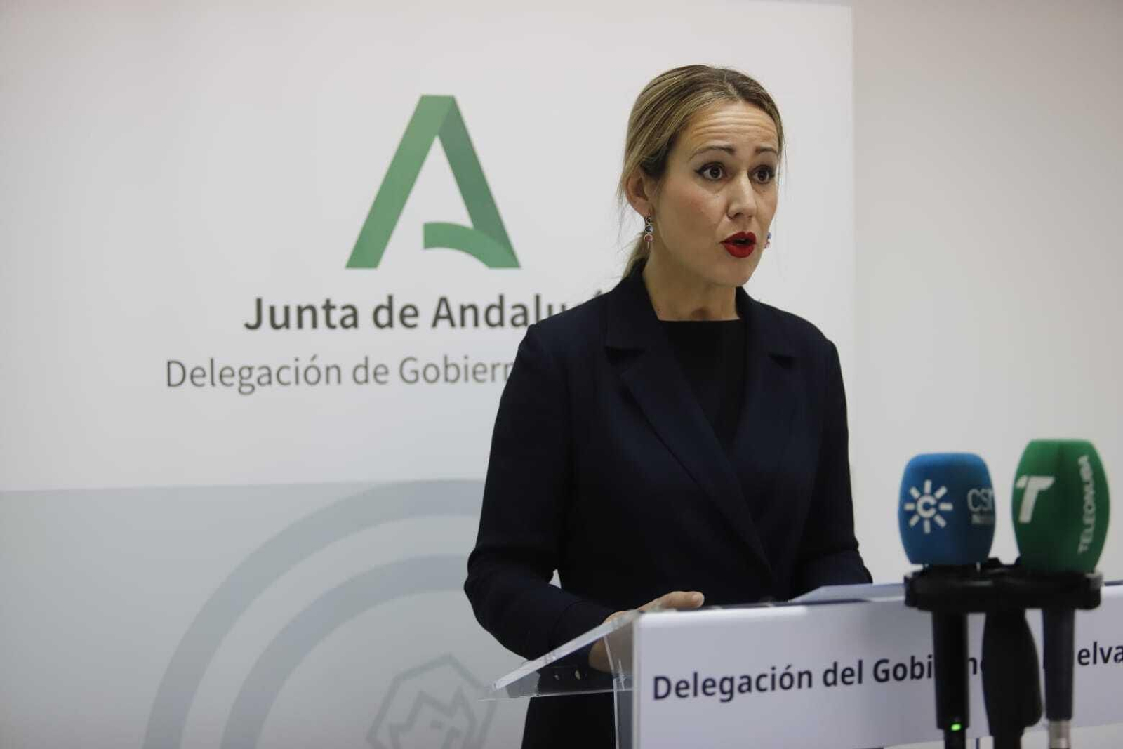 La delegada del Gobierno, Bella Verano, en su comparecencia de esta mañana.
