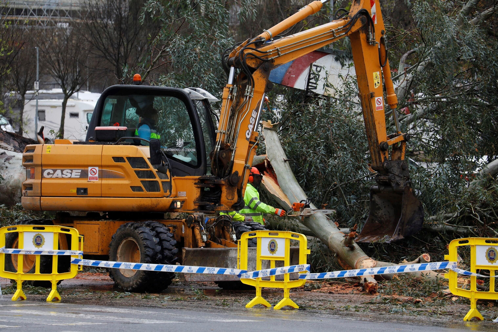 Los daños del último temporal que ha pasado por Córdoba, en imágenes