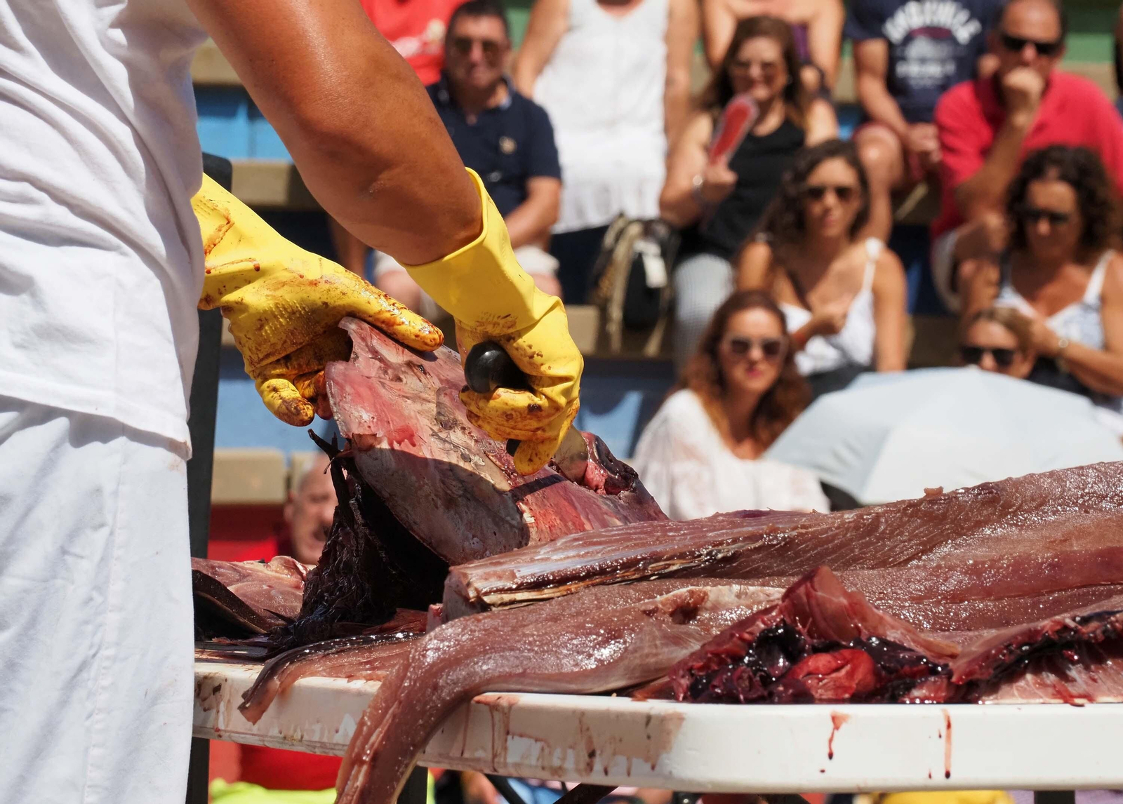 Las espectaculares imágenes del ronqueo de un atún en Isla Cristina