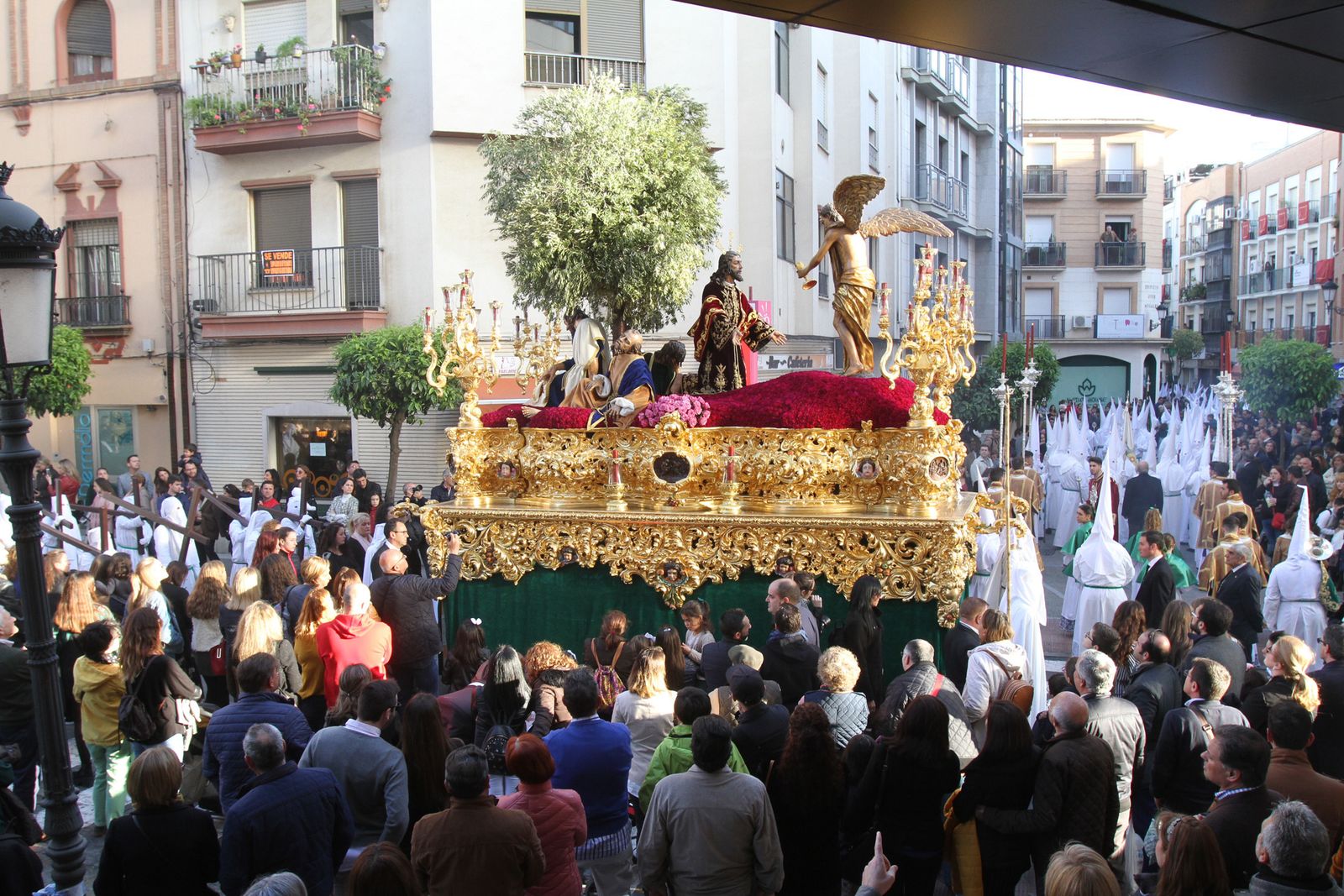 Imágenes de Oración en el Huerto