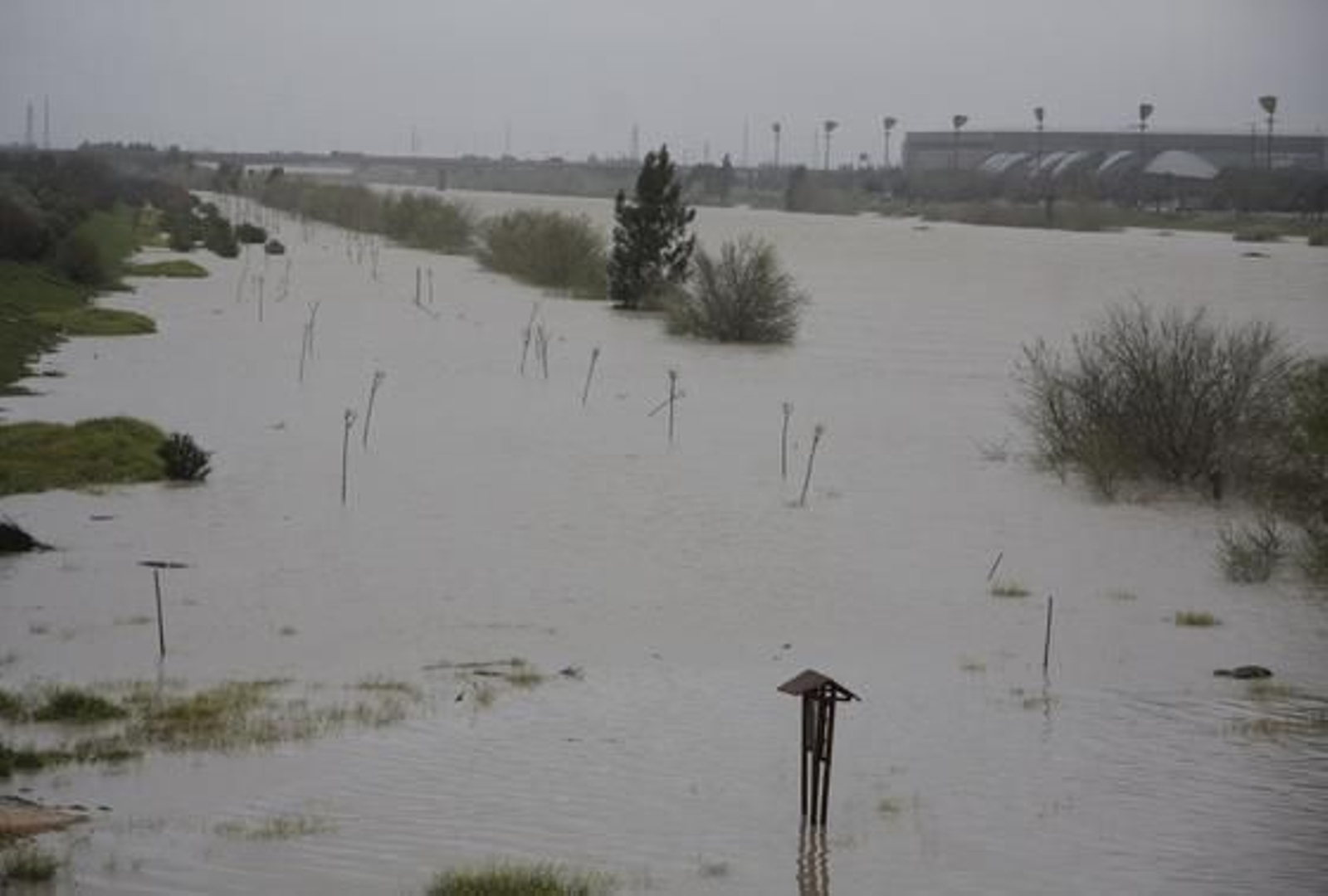 Foto: Victoria Hidalgo/Juan Carlos Muñoz