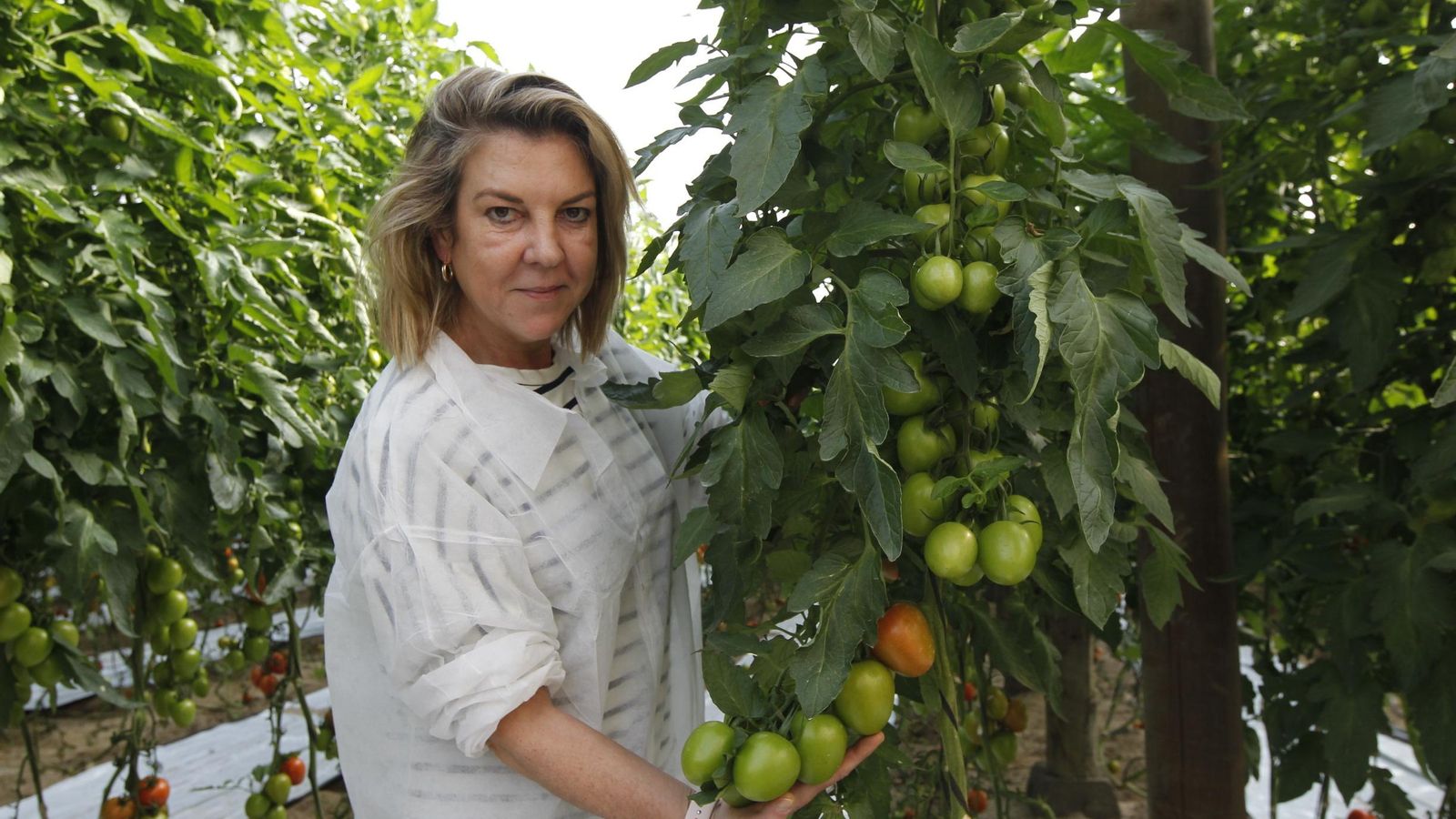 María del Mar Gimeno, delegada comercial de Rijk Zwaan en el Levante almeriense.