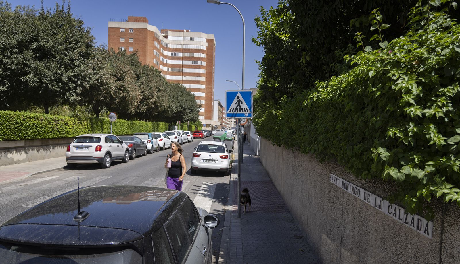 Santo Domingo de la Calzada, una de las calles que cuenta de nuevo con zona azul.
