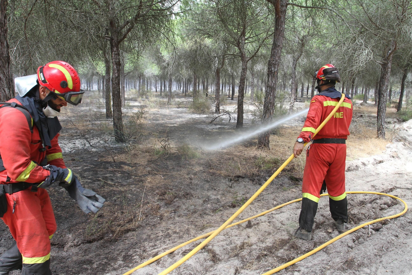 Las imágenes del incendio en Moguer y Mazagón