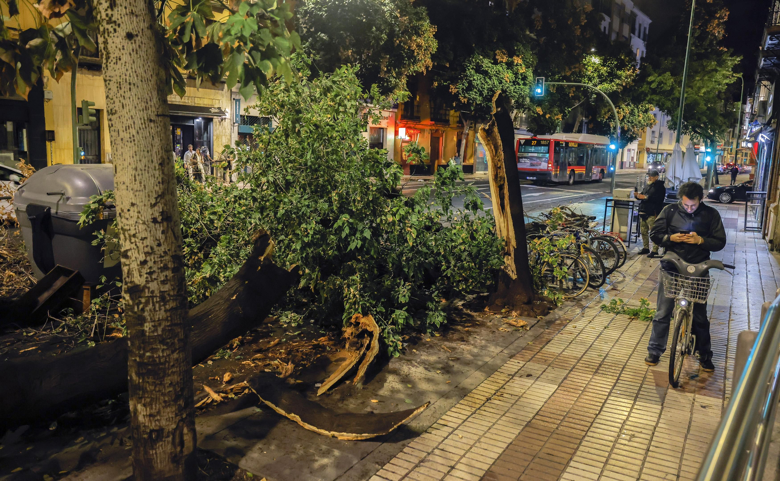 Los efectos de la borrasca 'Bernard' en Sevilla, todas las fotos