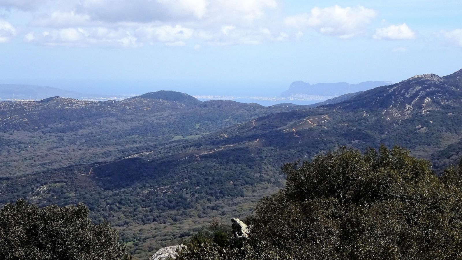 Bosques de la sierra de Ojén.