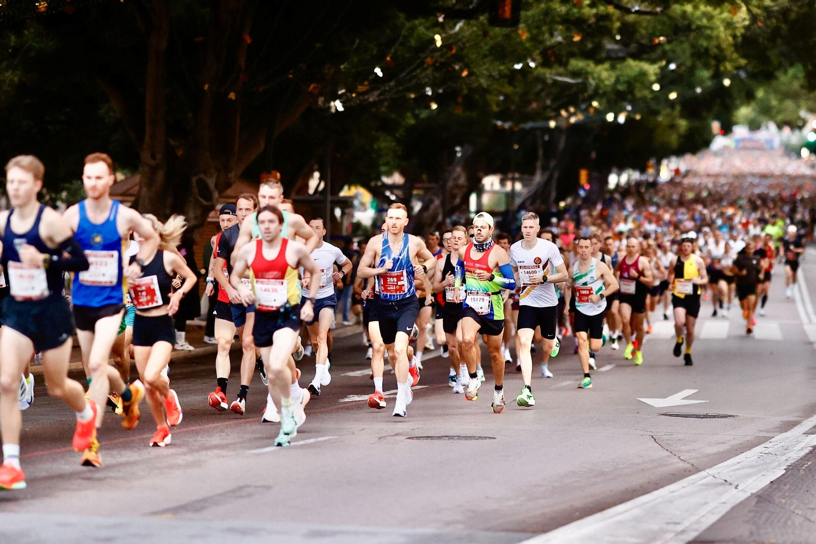 Las fotos de la Maratón de Málaga 2025