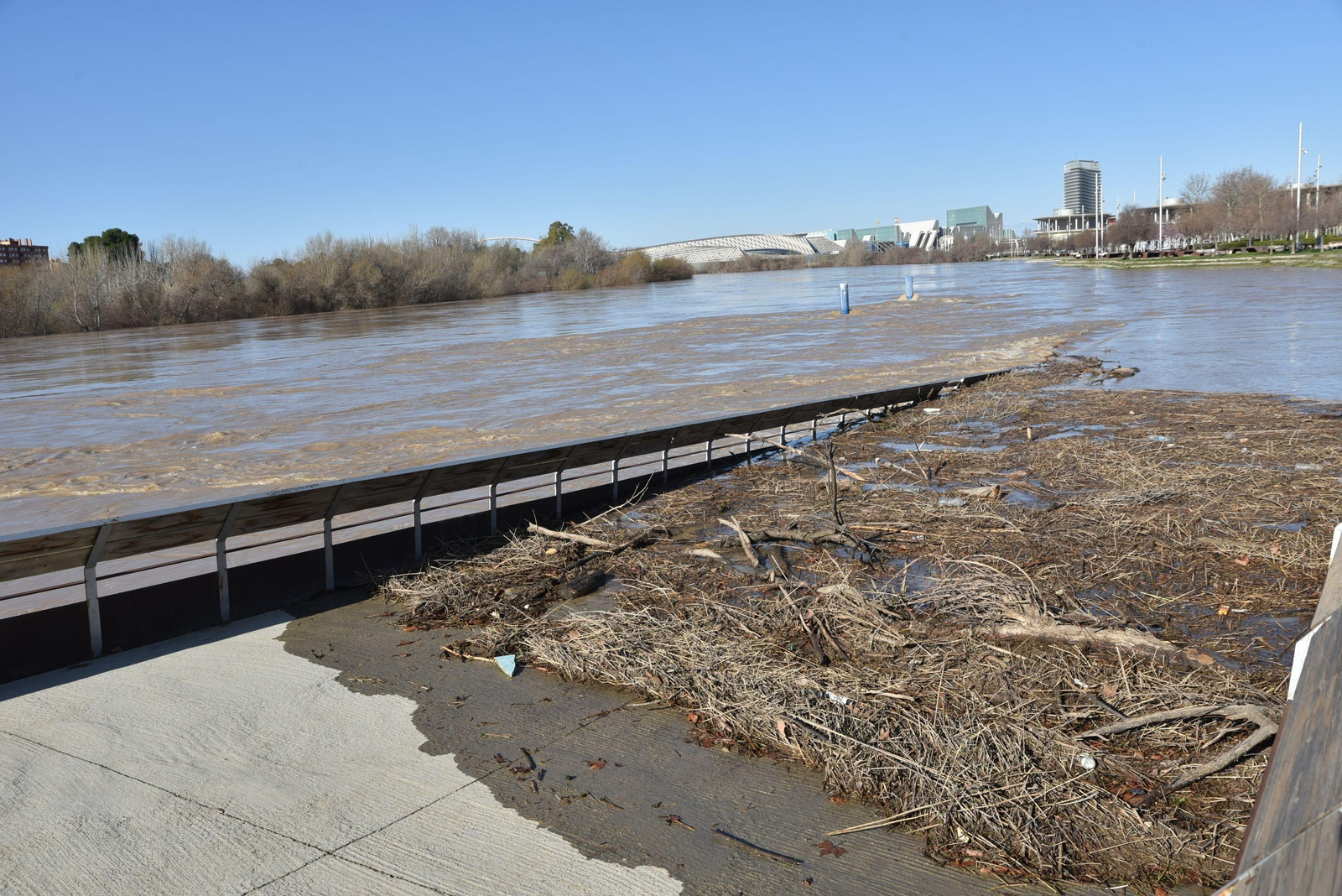 Imágenes de la crecida del río Ebro a su paso por Zaragoza
