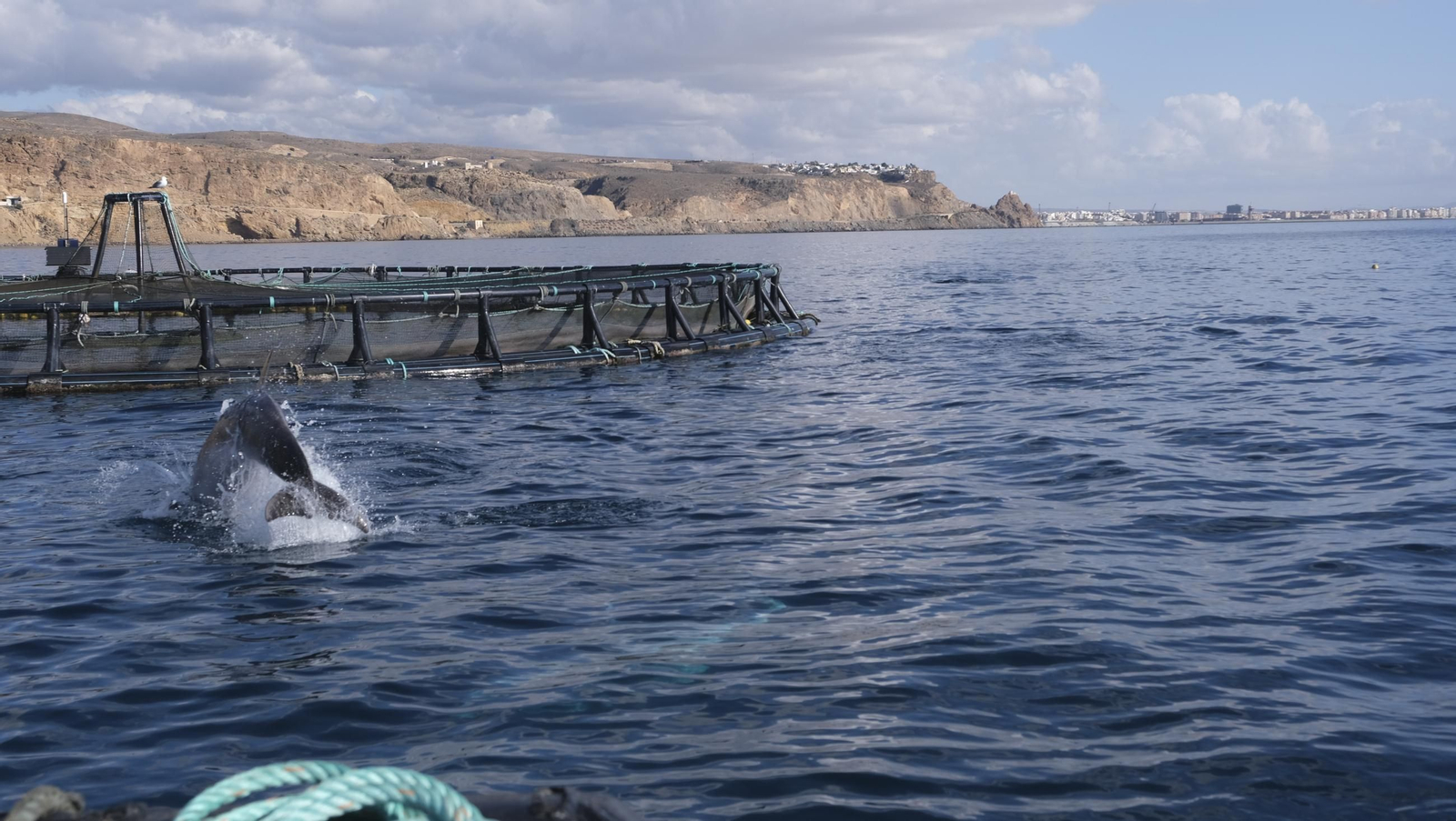 La piscifactoría de El Cañarete, en imágenes