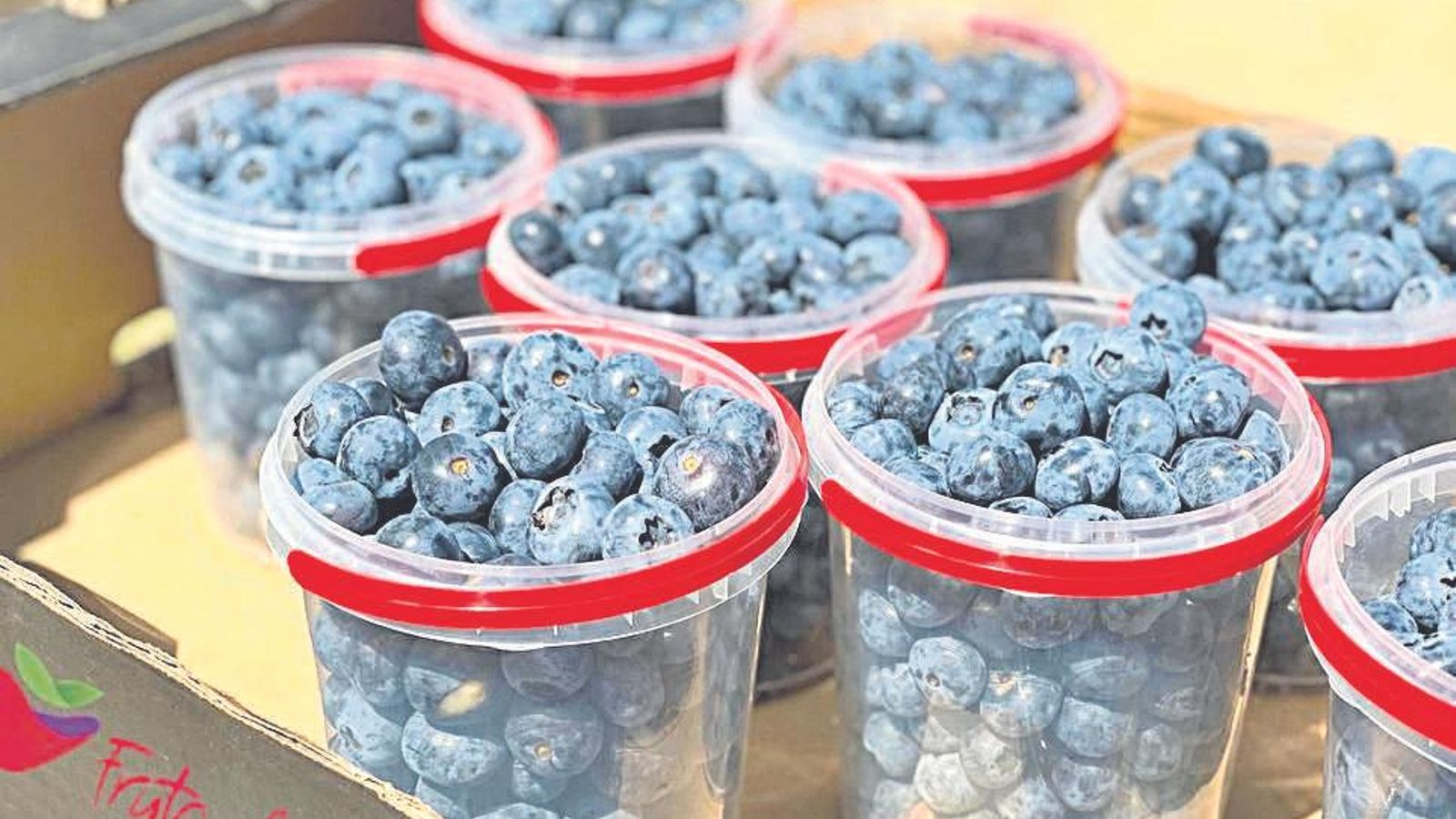 Los frutos rojos son buenos para la salud.