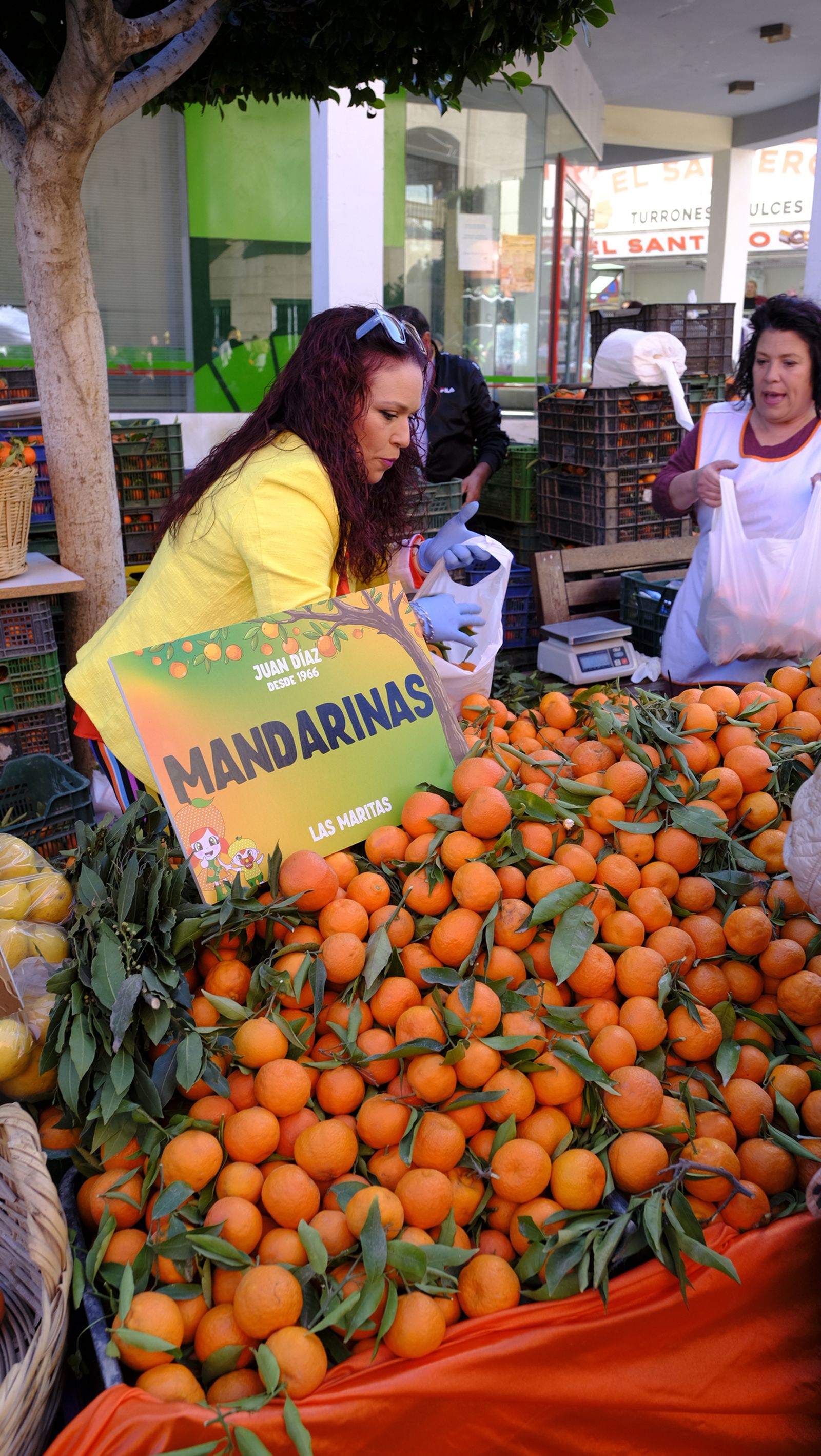 El Día de la Naranja en Gádor, en imágenes