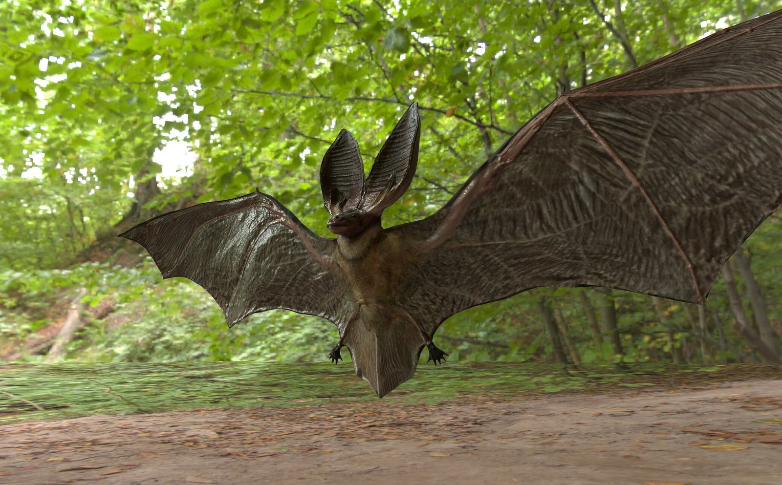 Murciélagos virtuales.