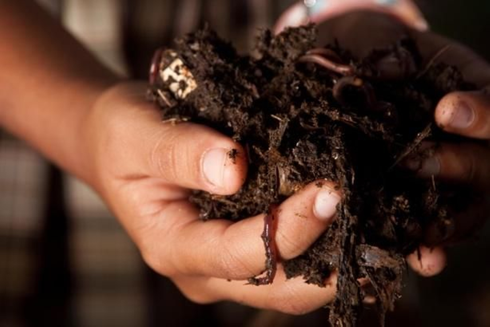 Una muestra de tierra