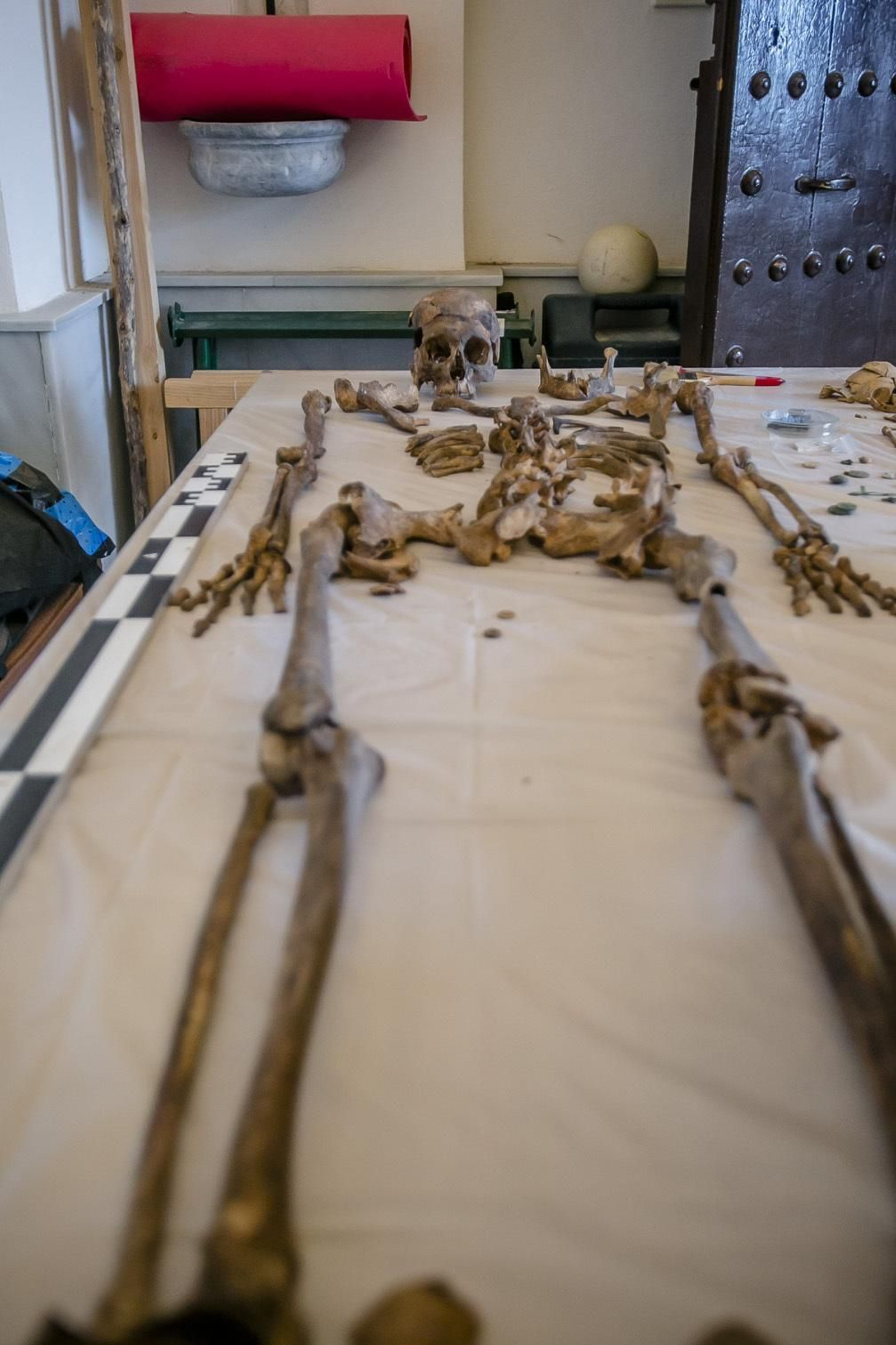 Restos de un represaliado exhumado de la fosa común del cementerio San José.