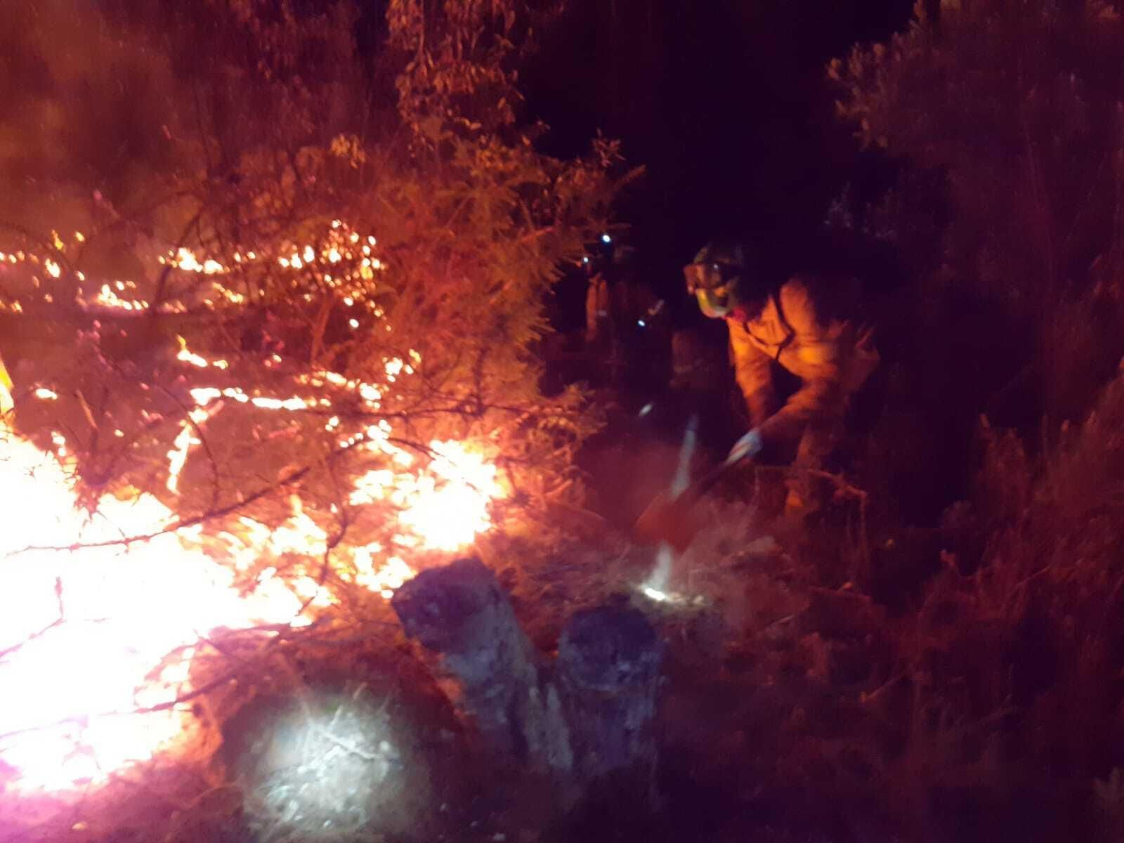 Trabajos de los efectivos del Plan Infoca en plena noche de ayer.