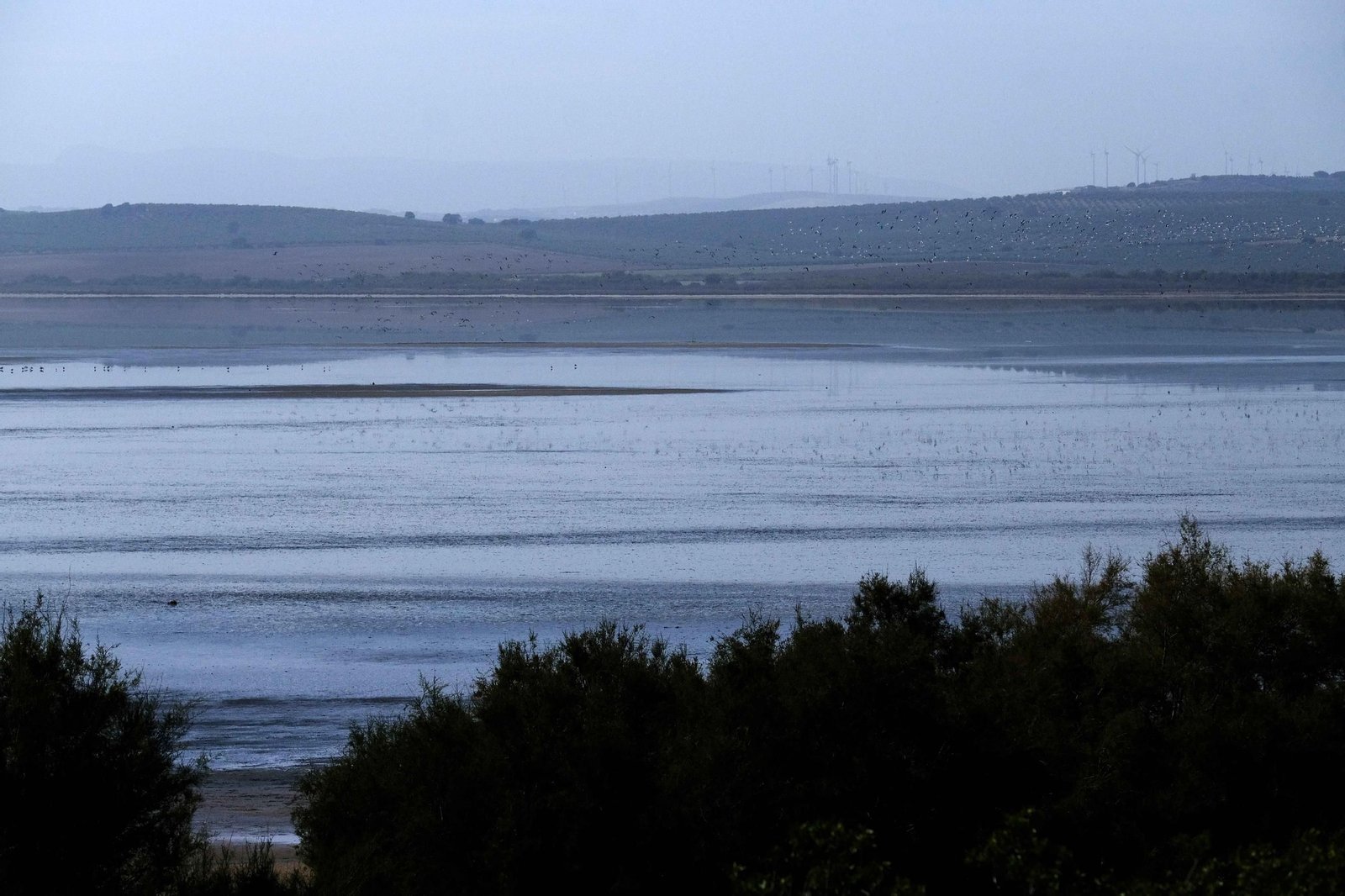 Laguna de Fuente de Piedra tras las lluvias, en fotos