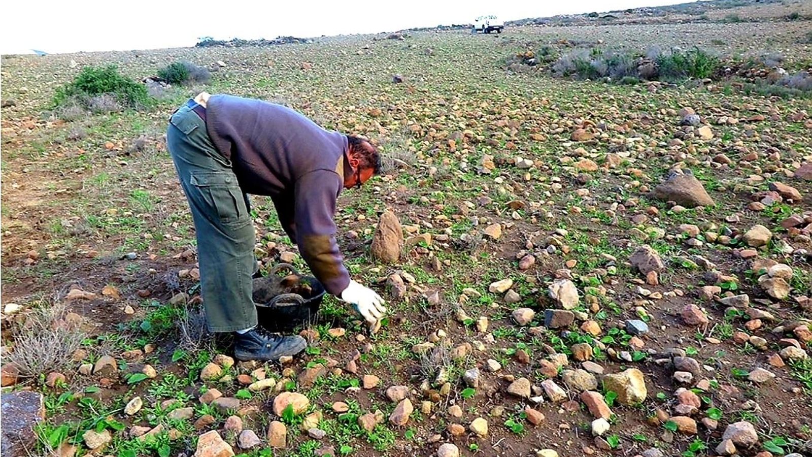 Creación de balates en Cabo de Gata.