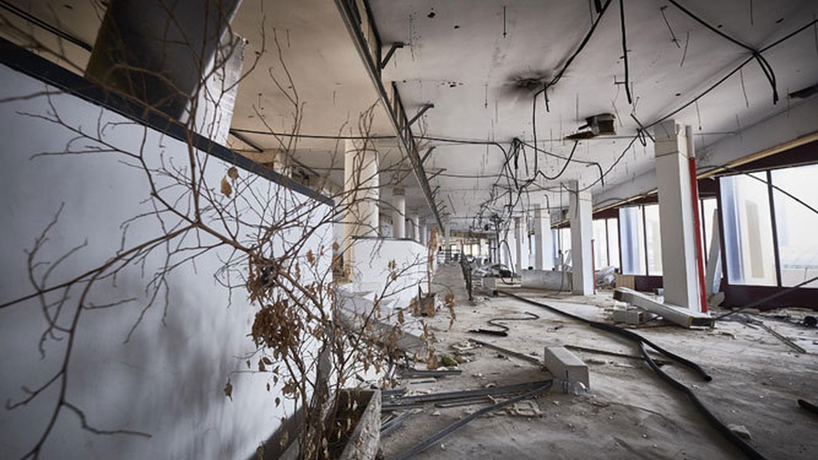 Imagen de la primera planta del edificio.