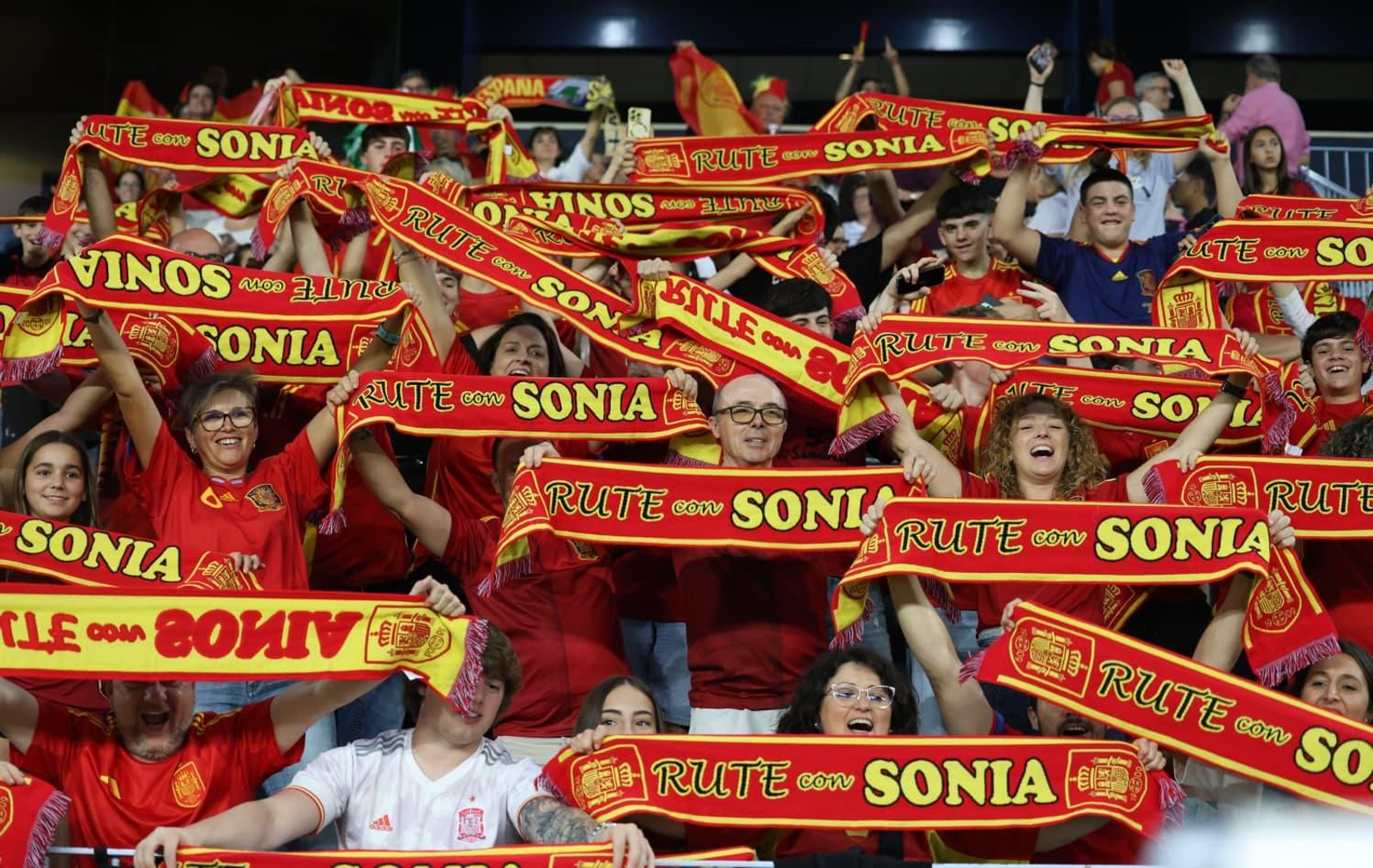 Búscate en las gradas de La Rosaleda durante el España-Suecia