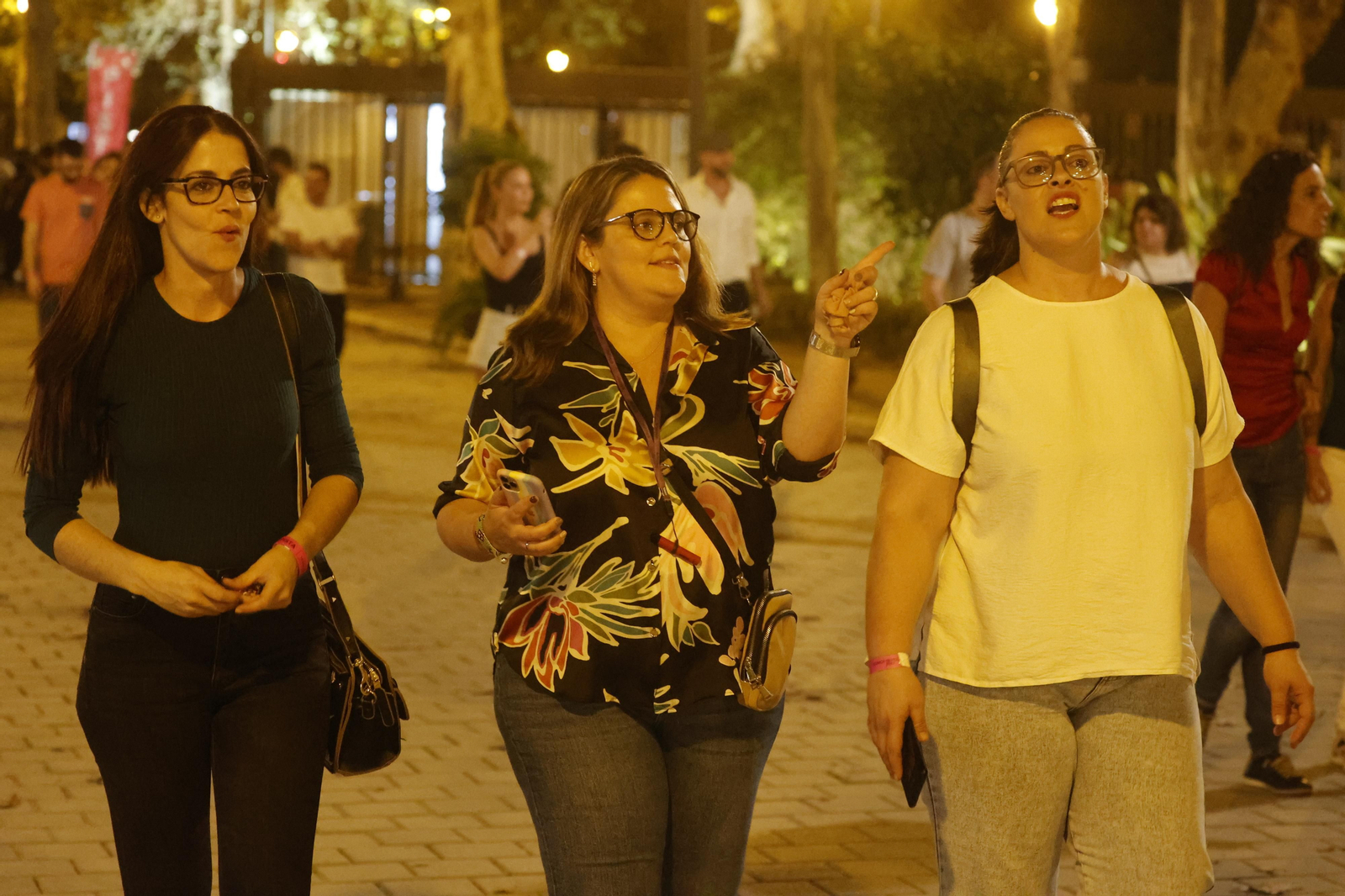 Búscate en las imágenes del concierto de Izal