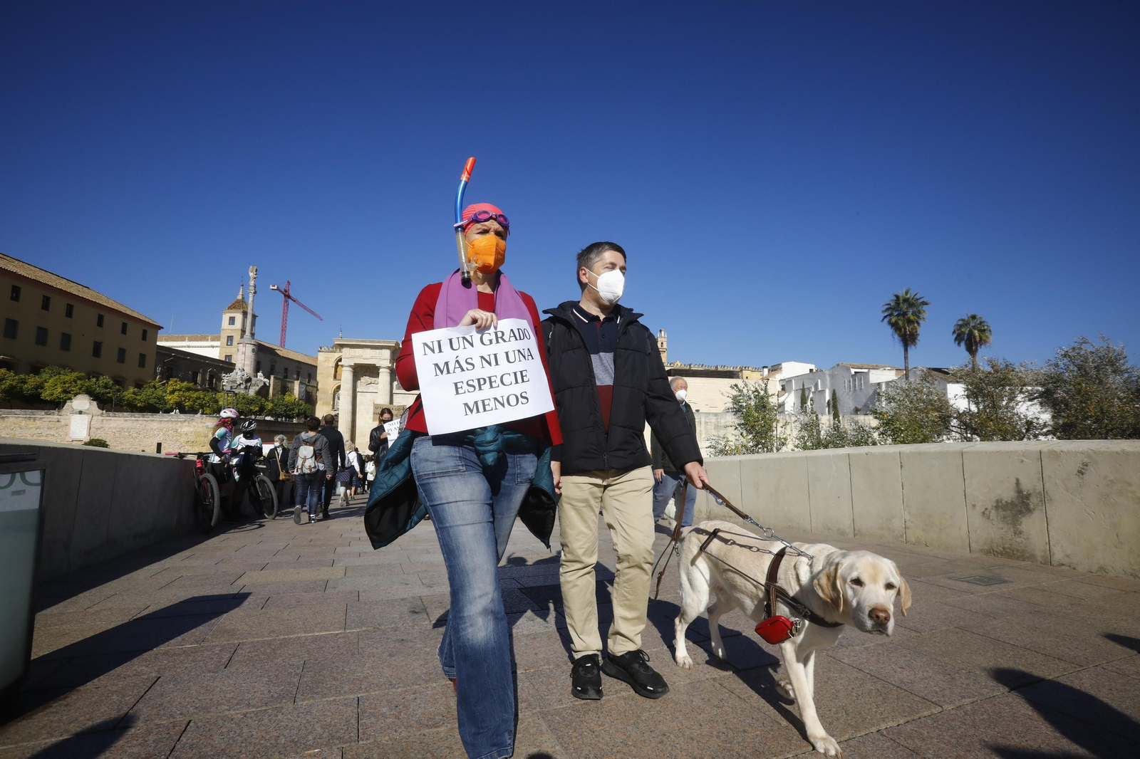 Así ha sido la manifestación por el clima en Córdoba