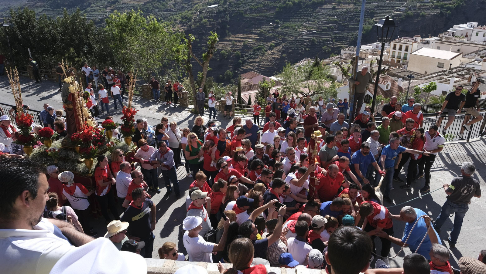 Imágenes de los toros ensogaos y San Marcos, en las Fiestas de Ohanes