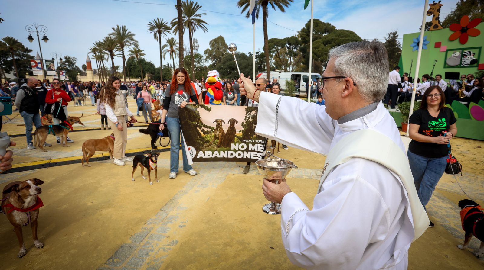 Fiesta de san Antón 2024 en Jerez