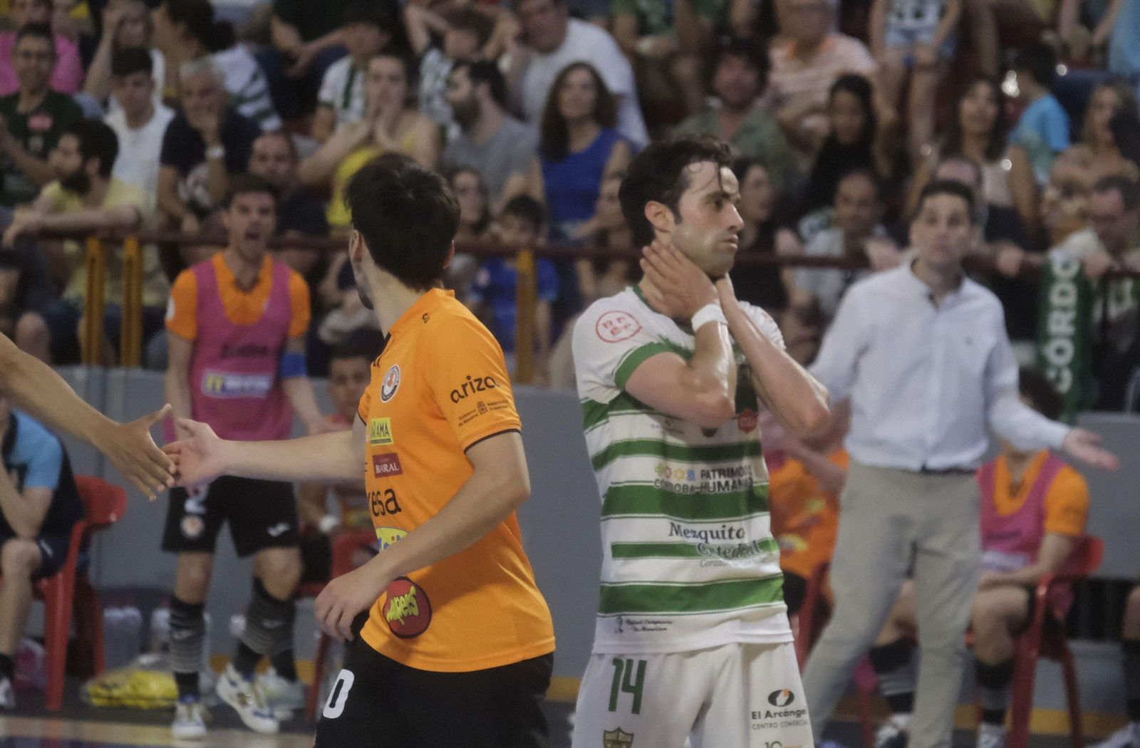 Las mejores fotos de la derrota del Córdoba Patrimonio ante Ribera Navarra en Vista Alegre