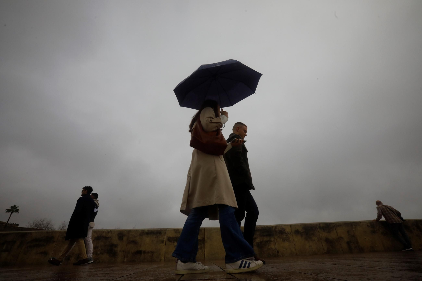 El paso de la borrasca Herminia por Córdoba, en imágenes