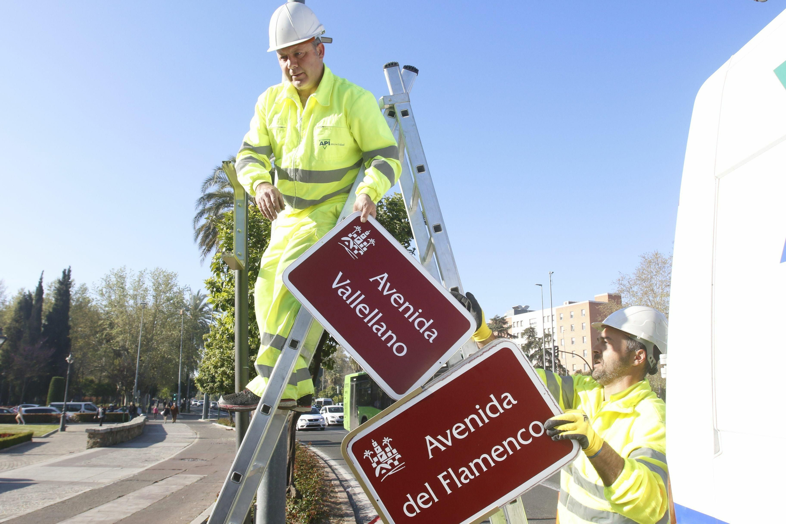 El 'regreso' de Cruz Conde y Vallellano, en fotos