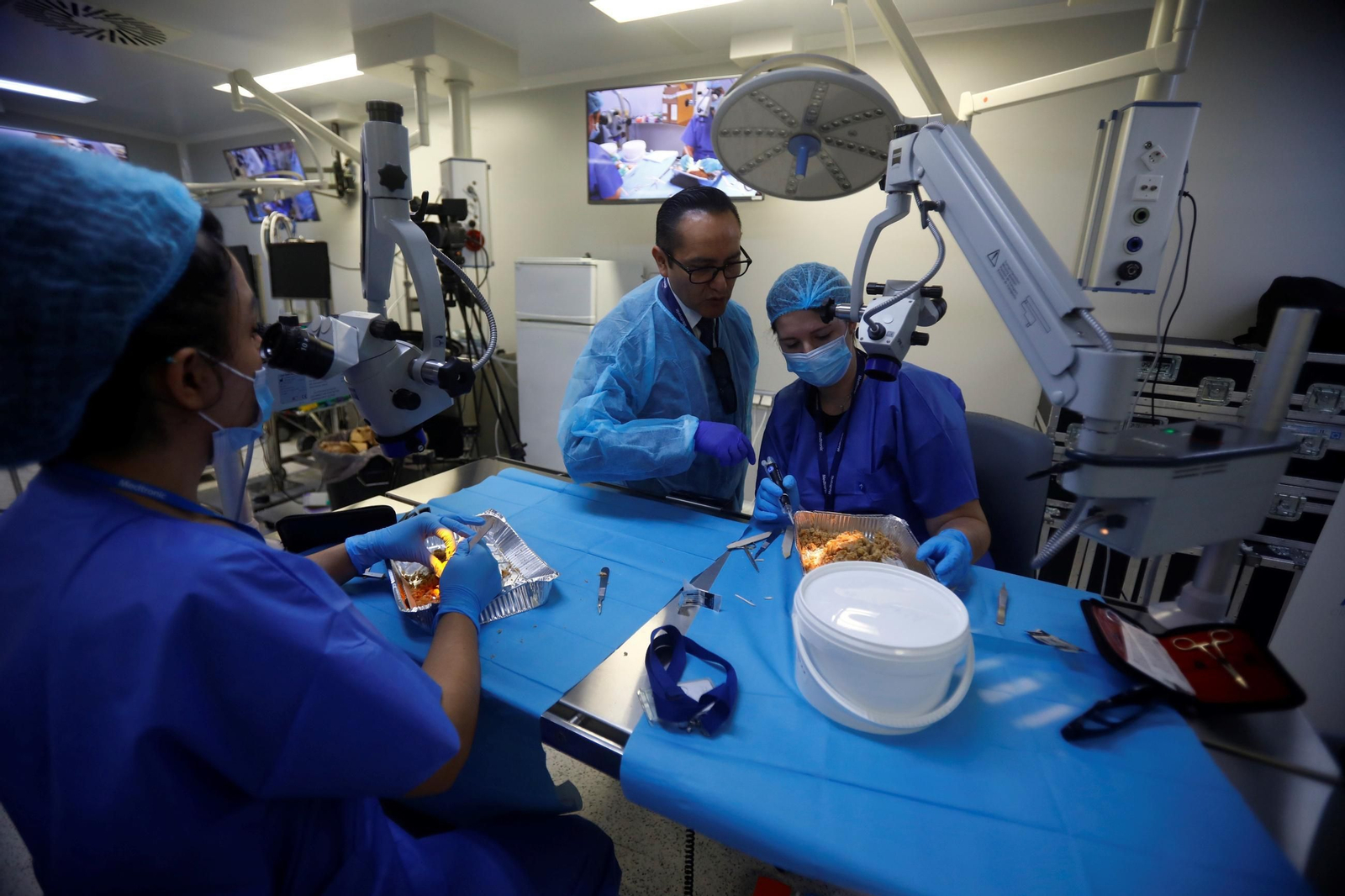 El curso en el que neurocirujanos del Hospital Reina Sofía estudian el cerebro, en imágenes