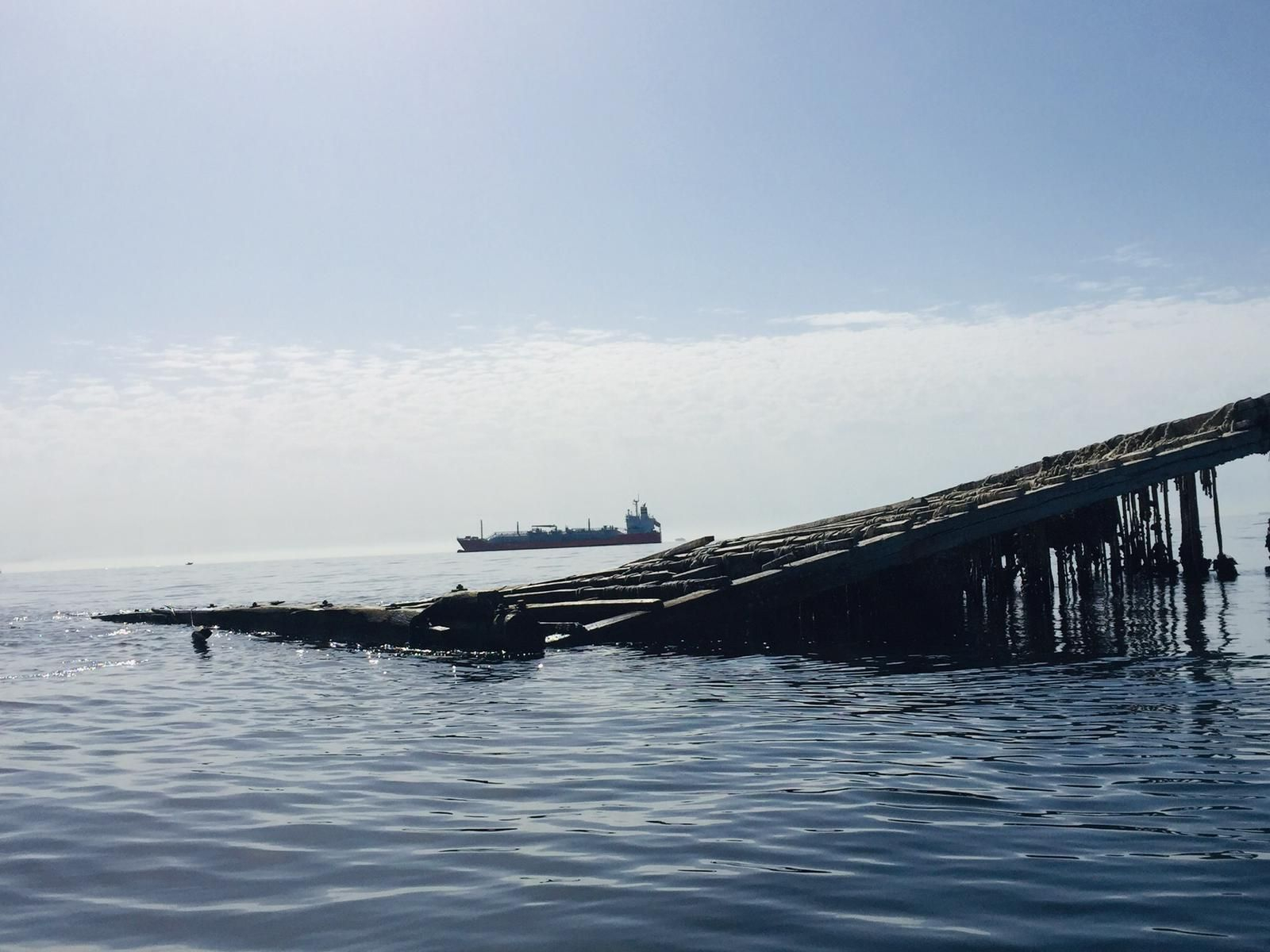 Una mejillonera semihundida en Getares.