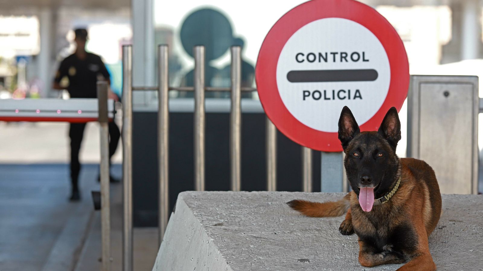 Operación Minerva 2019